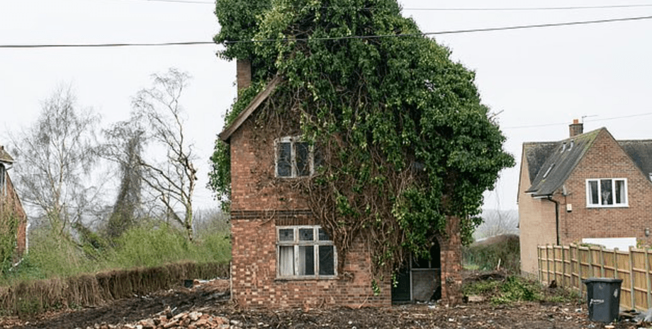 сказочный дом, Англия, Дэвид Кемп, дикая природа, недвижимость в Британии, пчеловод