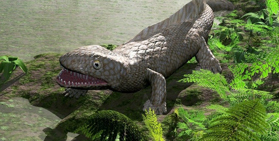 Фото из открытых источников