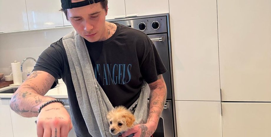 Бруклин Бекхэм, собака, бруклин бекхэм готовит, фуд-блогер