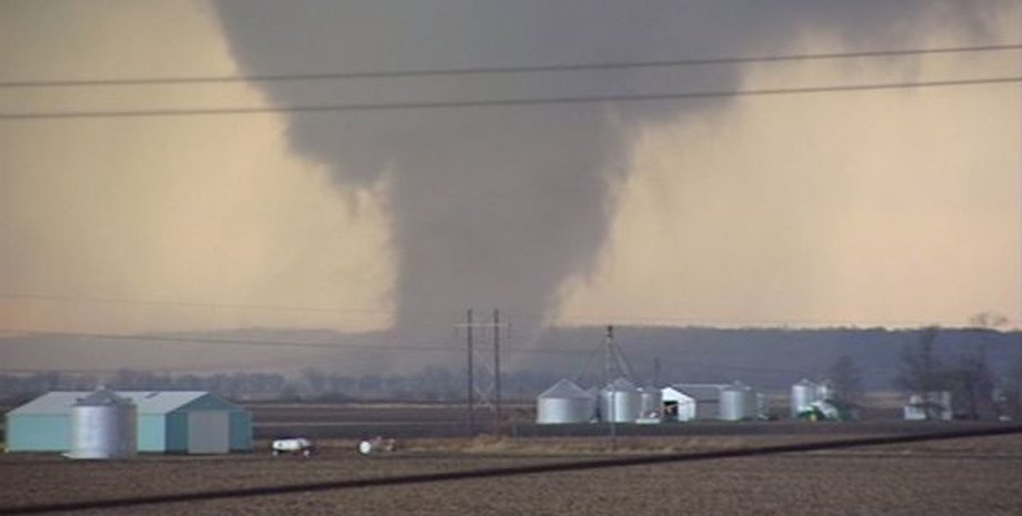 Фото: скриншот из видео fox32chicago.com
