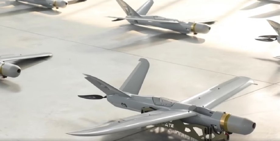 Warmate, дроны, БПЛА, беспилотники