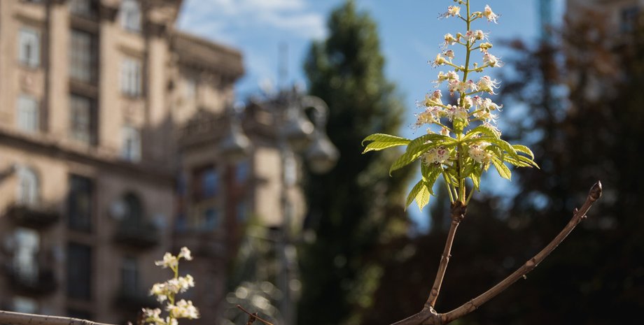 Фото: Денис Карпенко, Информатор