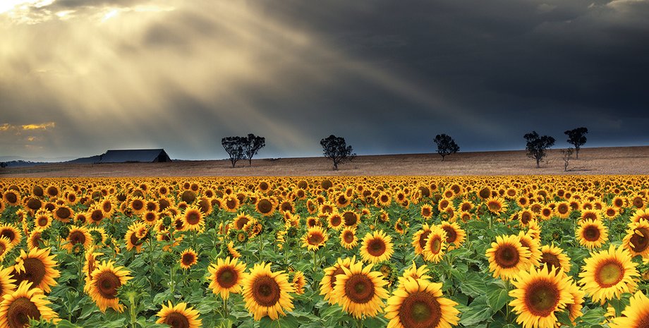 Фото: Getty Images