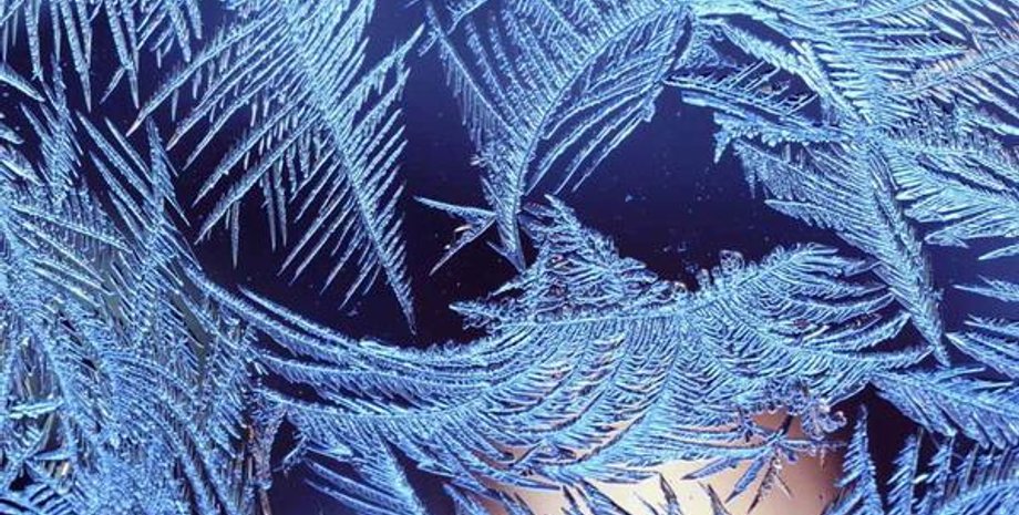 Фото: dailynews.kz