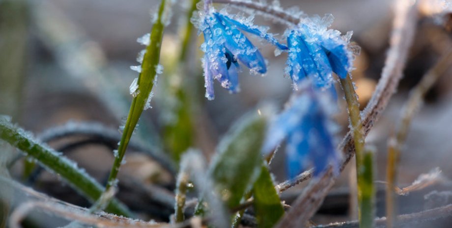 Фото: Укринформ