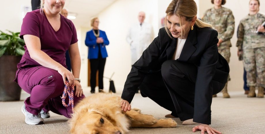 Елену Зеленскую обвинили в жестоком обращении с собакой, однако это оказался фейк