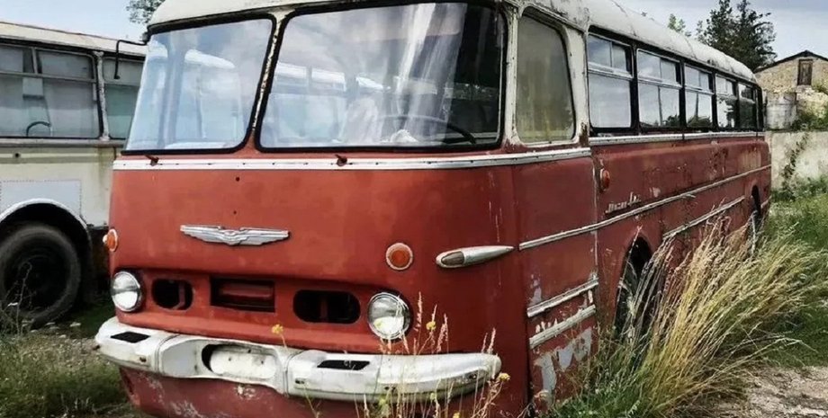 Ikarus 55 Lux, Ikarus 55, автобус Ikarus, Ікарус 55, автобус Ікарус