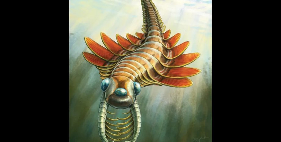 морський метелик