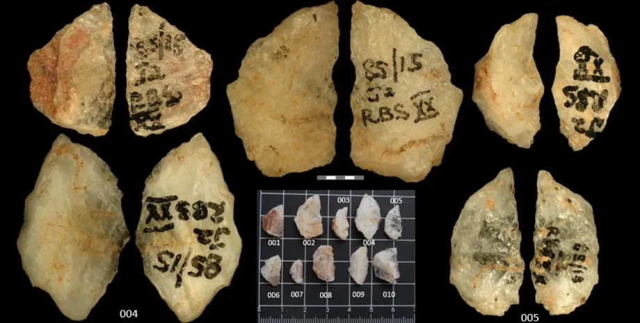 Охотники использовали растительные яды