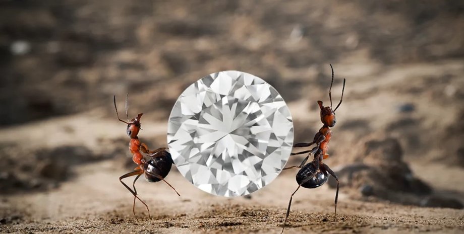 муравей, бриллиант