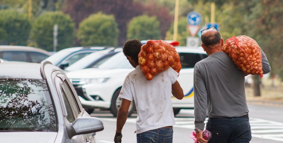 лук, цены, стоимость