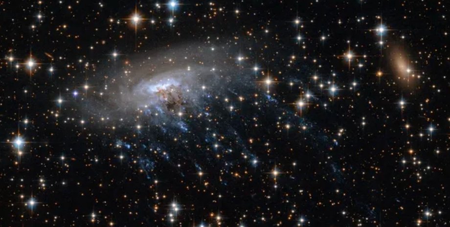 галактика-медуза