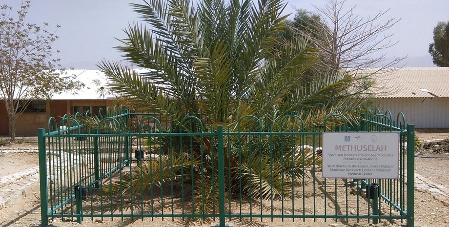 Фото: Getty Images