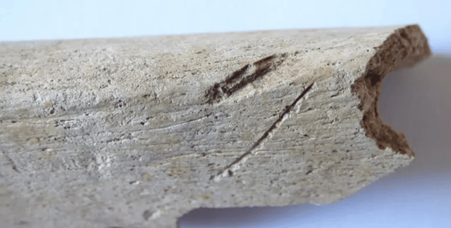 останки, раскопки, шотландия, англия