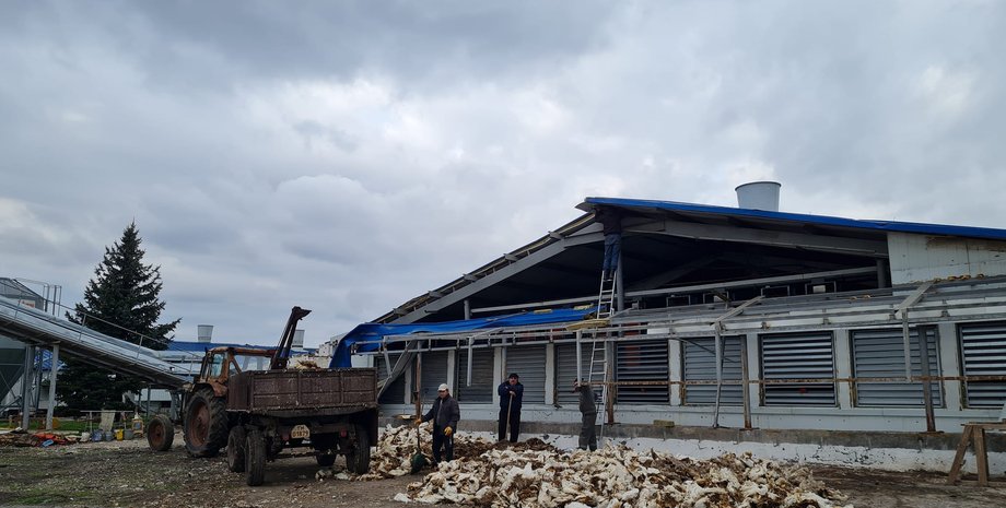 куриные яйца, донецкая область, птицеферма, предприятие по производству яиц, маяки, война в украине, российские обстрелы