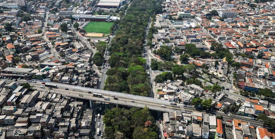 Геліо да Сілва висадив понад 41 тисячу дерев у Сан-Паулу, Бразилія, акція, проєкт, озеленення міста