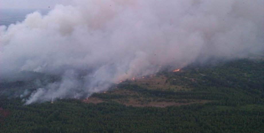 Под Киевом тлеет торф / Фото: tsn.uа