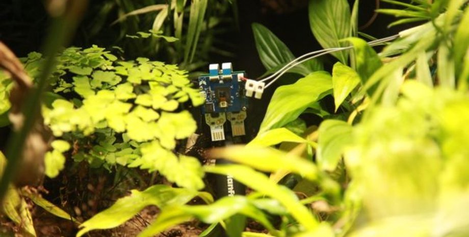 Фото: XNOR.AI/ZSL