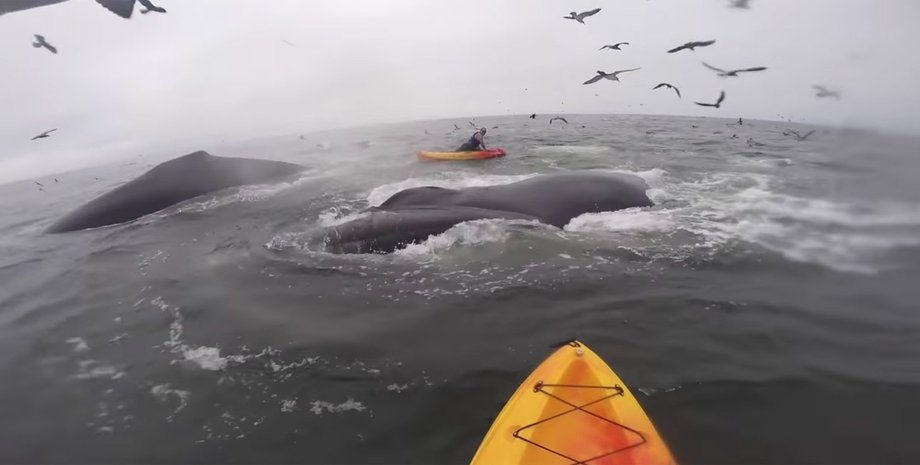 Скриншот видео