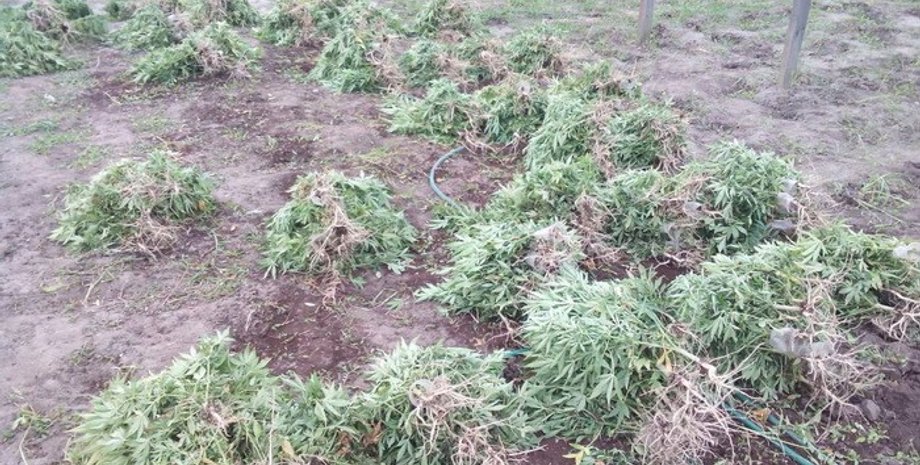 Фото: ssu.gov.ua