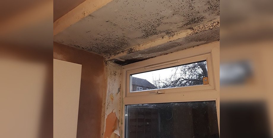 Дом в Манчестере, куда поселили многодетную мать