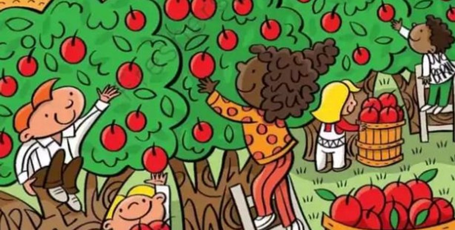 загадка, головоломка, тест, изображение, визуальная головоломка