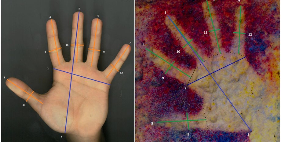 рука, отпечаток, фото