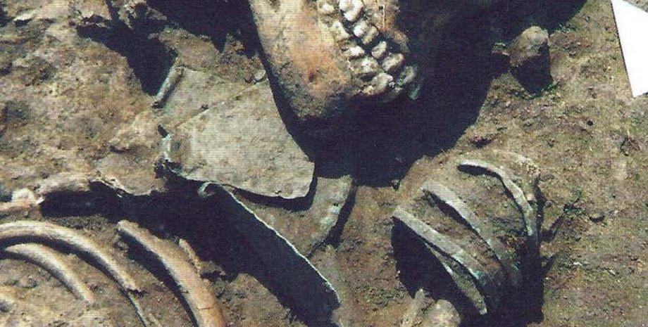 Фото: Chelsea Budd/Umeå University