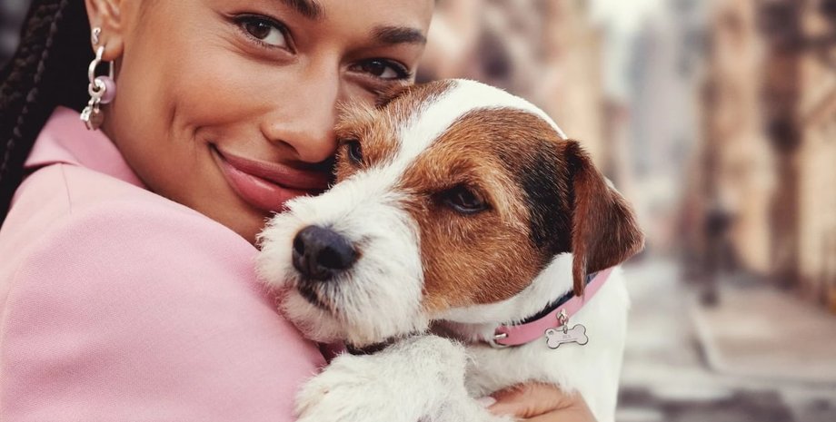 Рandora, аксесуари, тварини