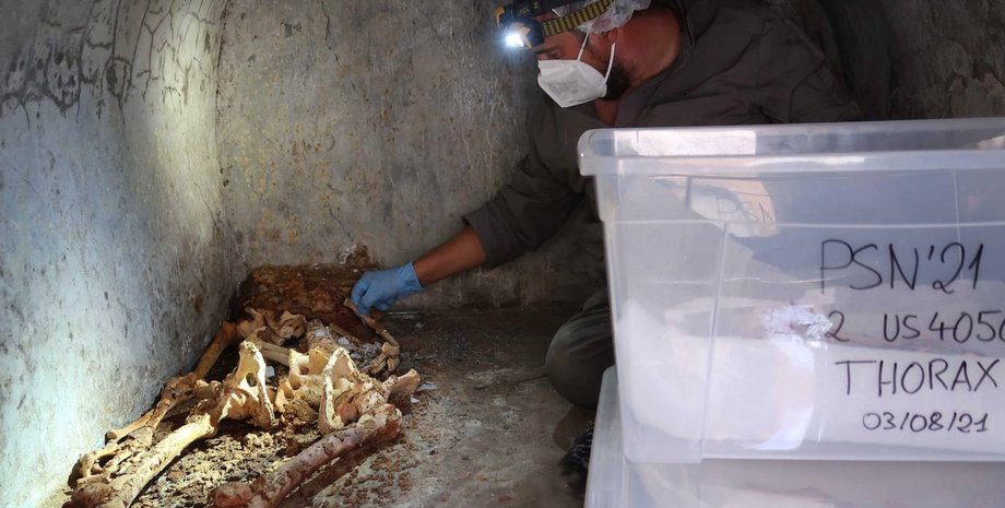 Маркус Венериус Секундио, гробница, помпеи, раскопки, археология