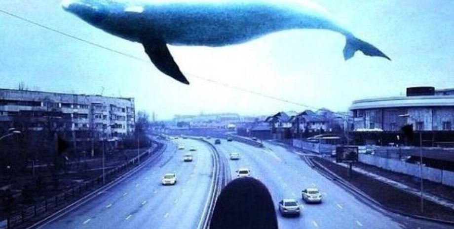 Изображение: Podrobnosti