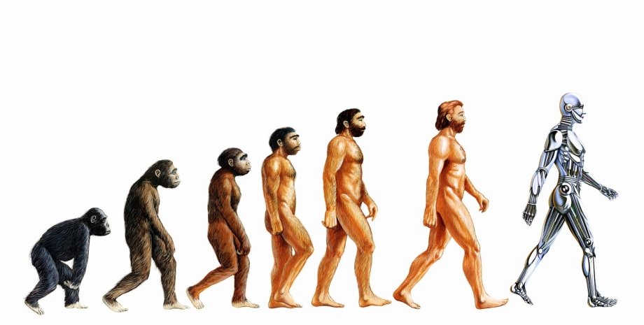 еволюція, давні люди, сучасні люди, кіборг, фото