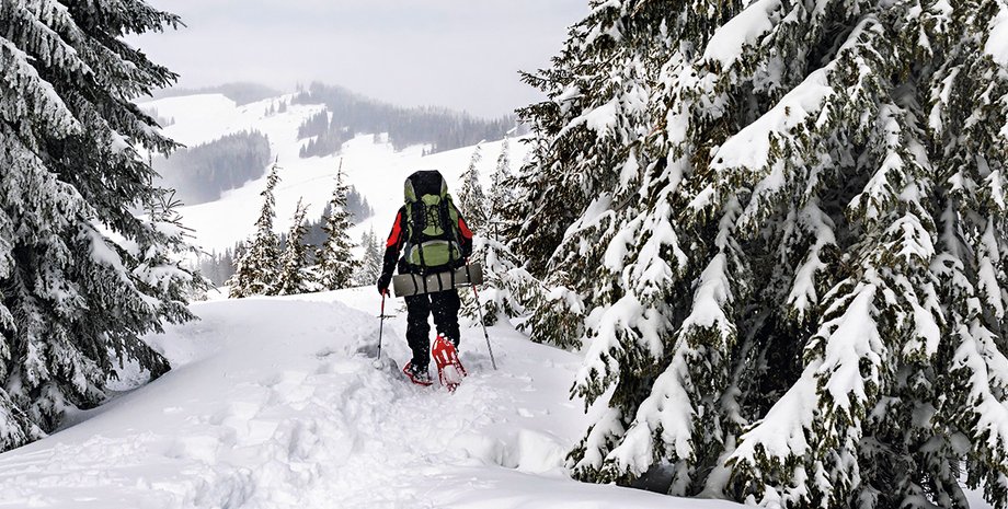 Фото: Getty Images