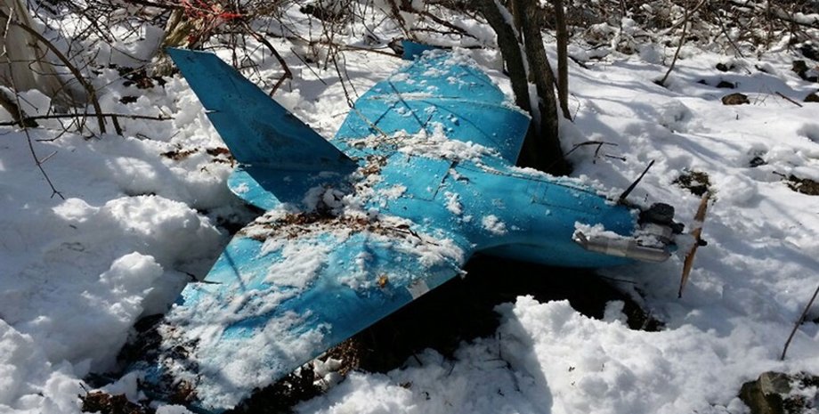 дрон, разведывательный дрон, дрон КНДР