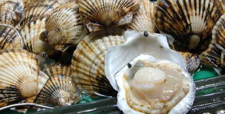 Фото: Организация общественного питания