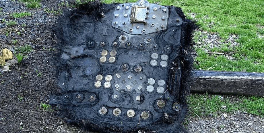 Загадковий об'єкт у лісі, впав із неба, прилетів із космосу, незвичайна знахідка, металевий предмет, загадковий предмет