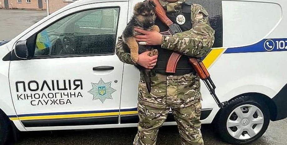 щенок Байрактар