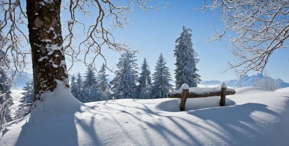 снег, снежная зима, зимний лес, январь