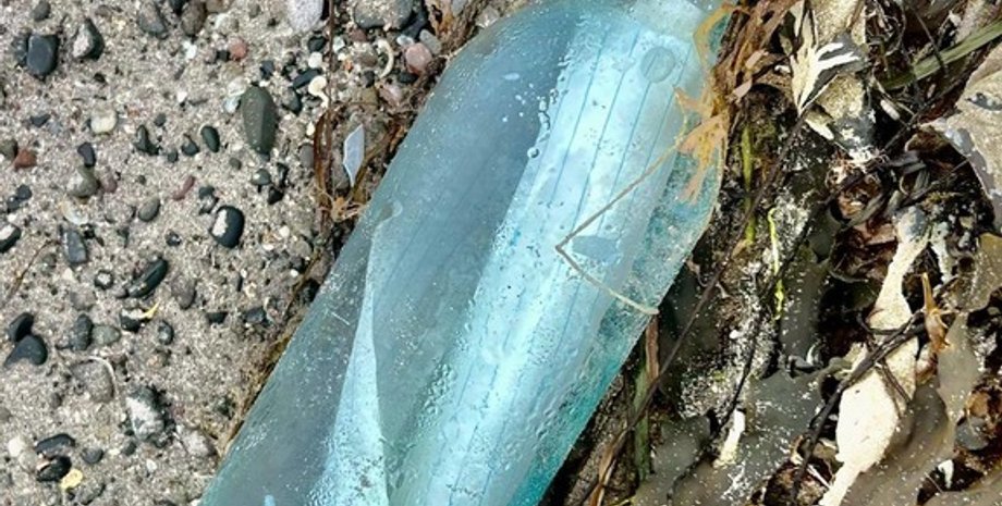 послание с моря в бутылке всколыхнуло ирландское побережье