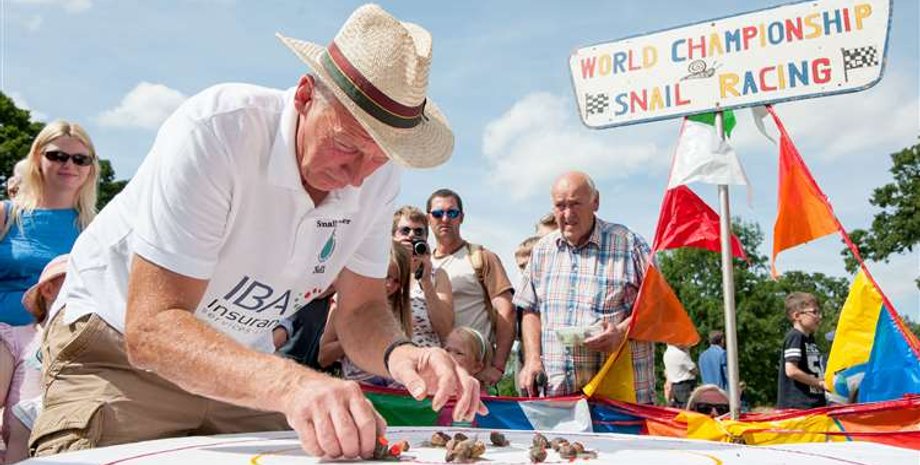 перегони равликів, Англія, змагання, чемпіонат світу, гуманні перегони