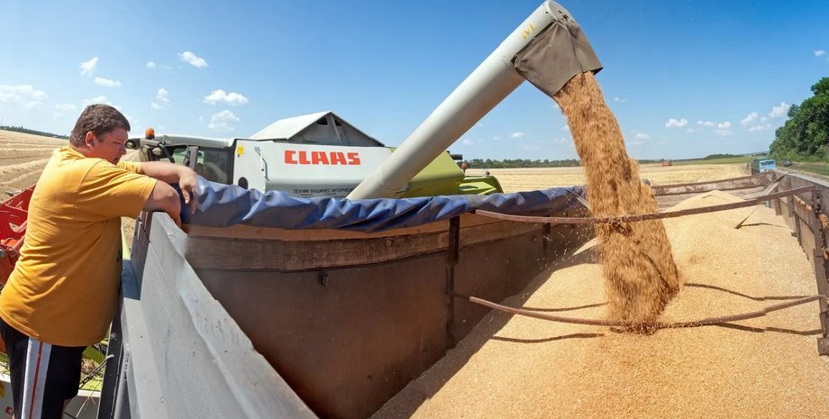 сбор урожая, украина урожай, эуспорт зерновых украина, голод