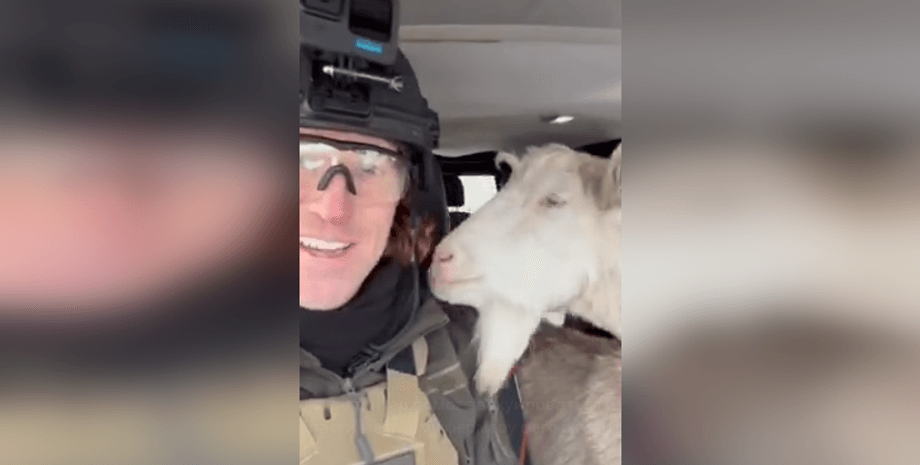 волонтер, козы, фермер, хозяйство, обстрелы