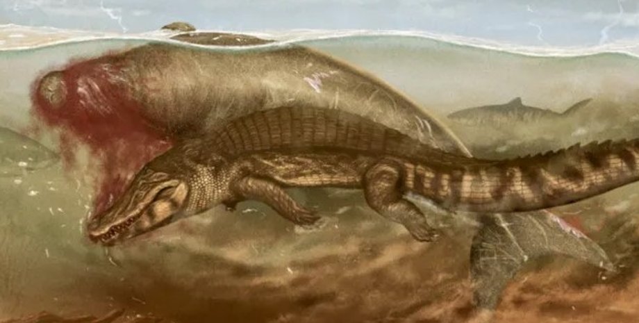 морская корова, акула, тигровая акула, крокодил