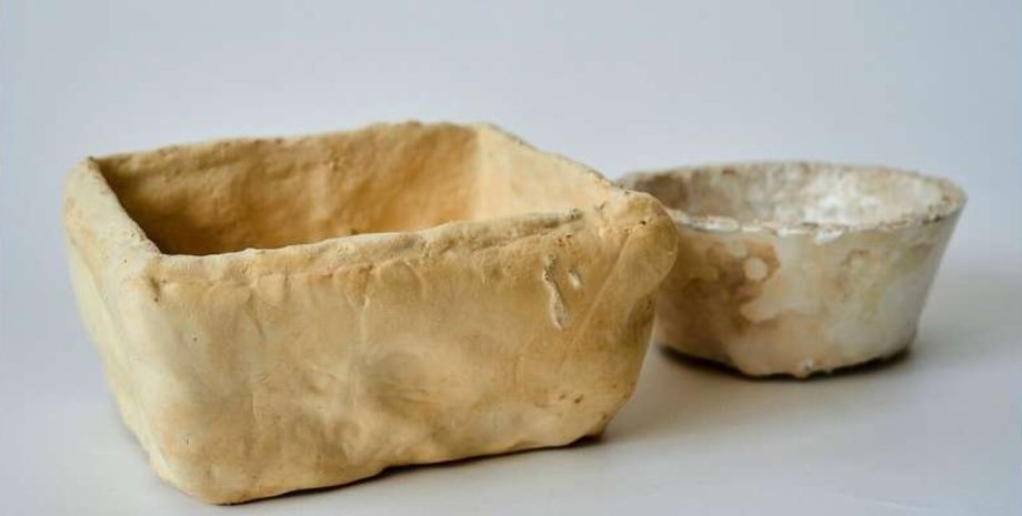 міцелій, упаковка з міцелію