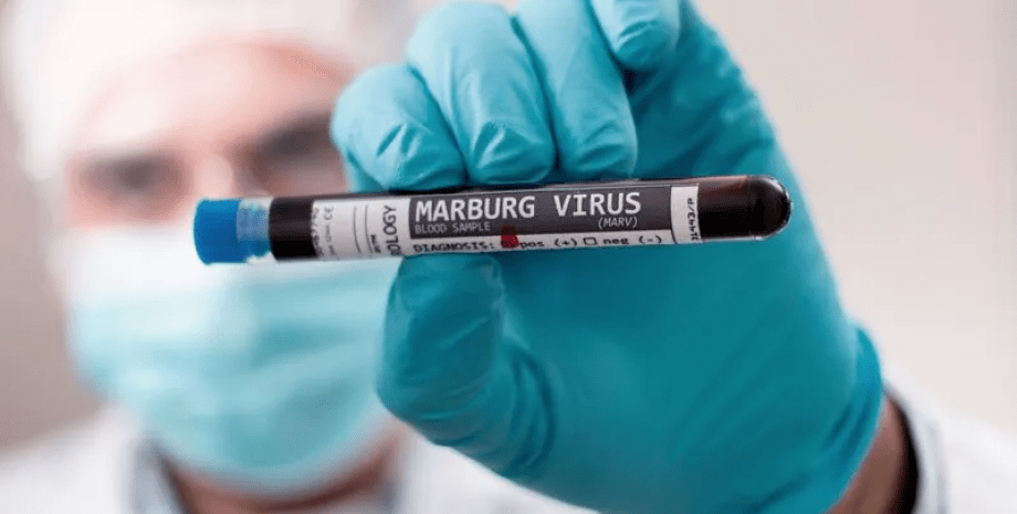 марбурзький вірус