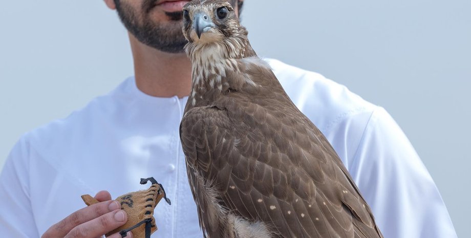наследный принц Дубая Хамдан бин Мохаммед бин Рашид Аль Мактум
