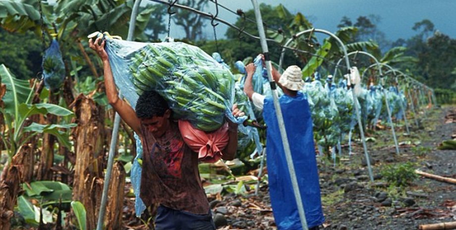 Фото: dailymail.co.uk