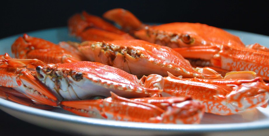 краб, убийство крабов, варить крабов, варить крабов живьем