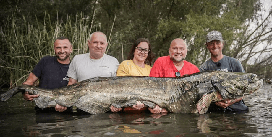 Якуб Вагнер поймал гигантскую рыбу длиной более двух метров, рекордный улов, сом гигантских размеров, фото, Чехия