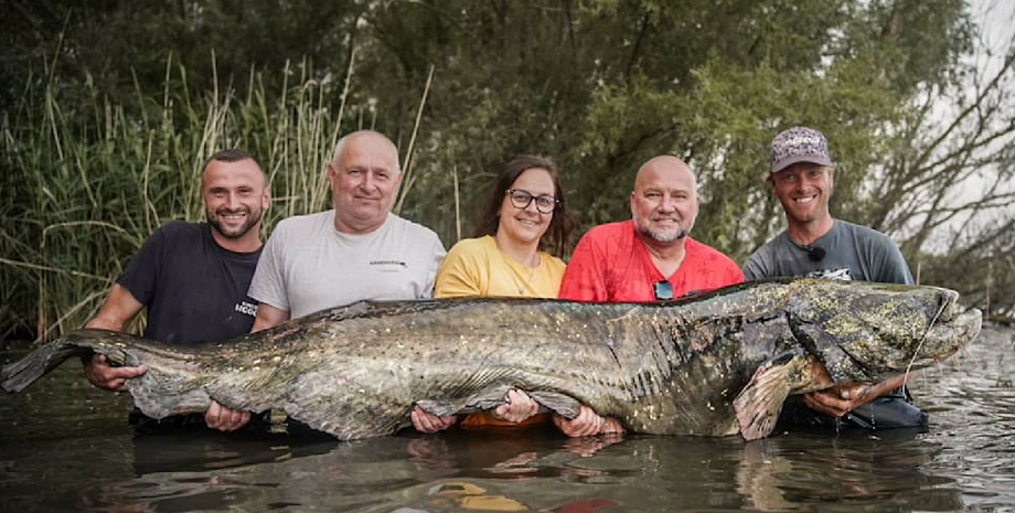 Якуб Вагнер зловив гігантську рибу завдовжки понад два метри, рекордний улов, сом гігантських розмірів, фото, Чехія